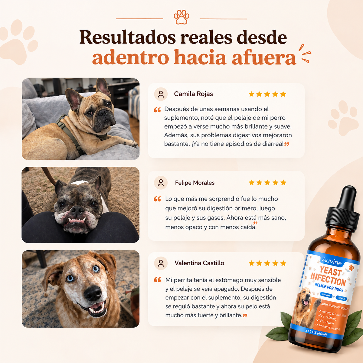 Dermiflora™️ – Ayuda a controlar el hongo y a reducir la picazón desde el origen