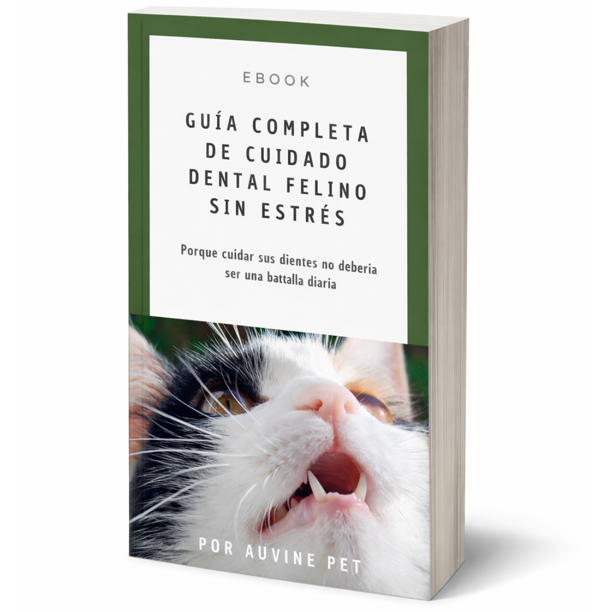 Ebook GRATIS: Guía completa de cuidado dental felino sin estrés