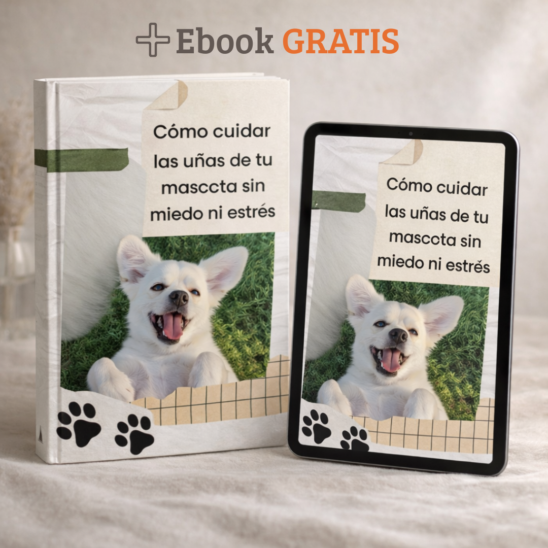 Cómo cuidar las uñas de tu mascota sin miedo ni estrés