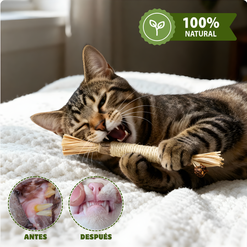 Dental Bite™ - Juguete Dental Natural para Gatos.