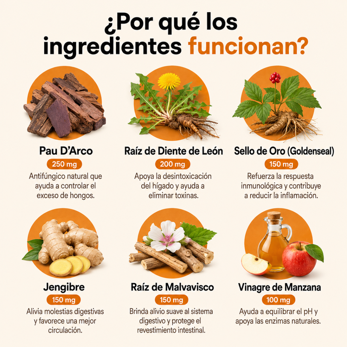 Dermiflora™️ – Ayuda a controlar el hongo y a reducir la picazón desde el origen