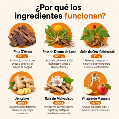 Dermiflora™️ – Ayuda a controlar el hongo y a reducir la picazón desde el origen
