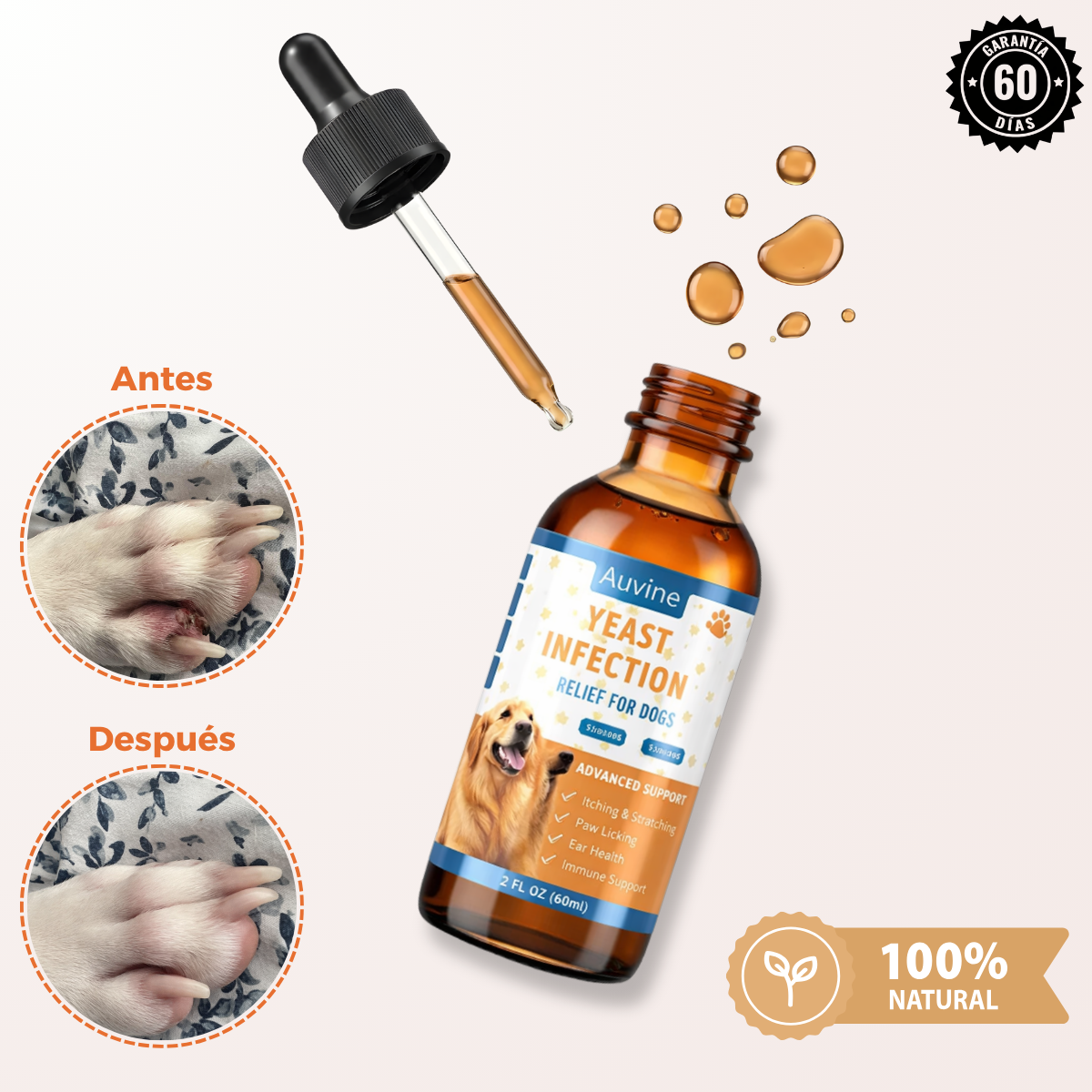 Dermiflora™️ – Ayuda a controlar el hongo y a reducir la picazón desde el origen