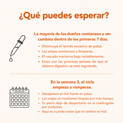 Dermiflora™️ – Ayuda a controlar el hongo y a reducir la picazón desde el origen