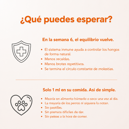 Dermiflora™️ – Ayuda a controlar el hongo y a reducir la picazón desde el origen