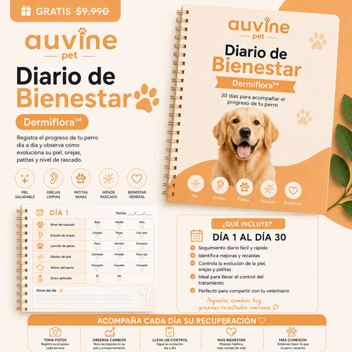 Diario de Bienestar