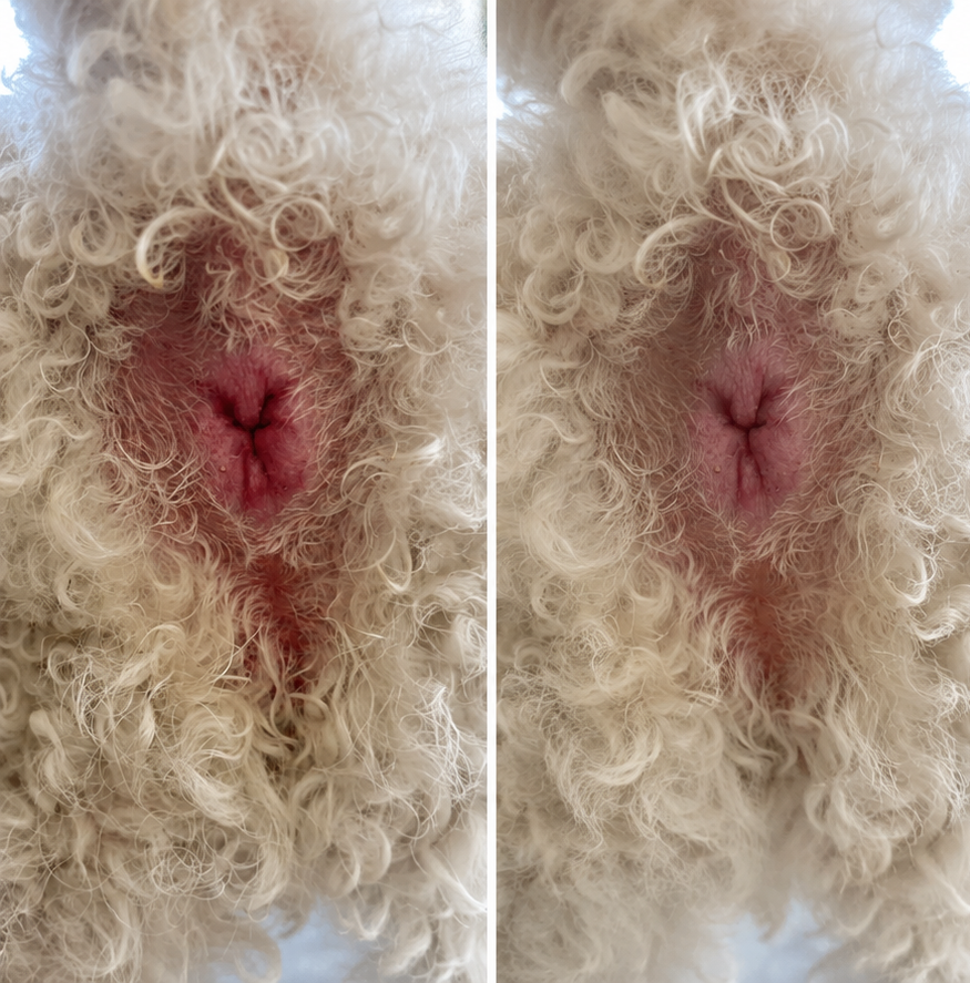Keylin Muñoz