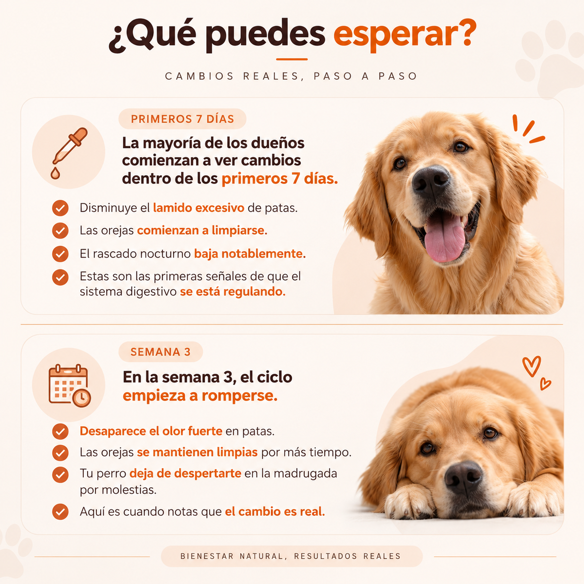 Dermiflora™️ – Ayuda a controlar el hongo y a reducir la picazón desde el origen