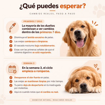 Dermiflora™️ – Ayuda a controlar el hongo y a reducir la picazón desde el origen