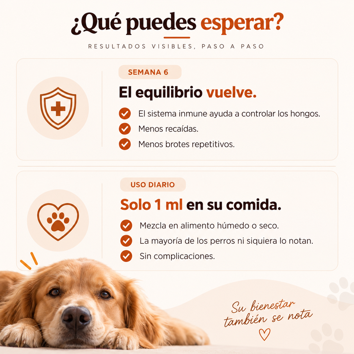 Dermiflora™️ – Ayuda a controlar el hongo y a reducir la picazón desde el origen
