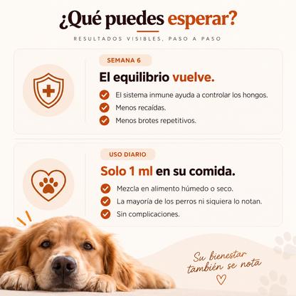 Dermiflora™️ – Ayuda a controlar el hongo y a reducir la picazón desde el origen